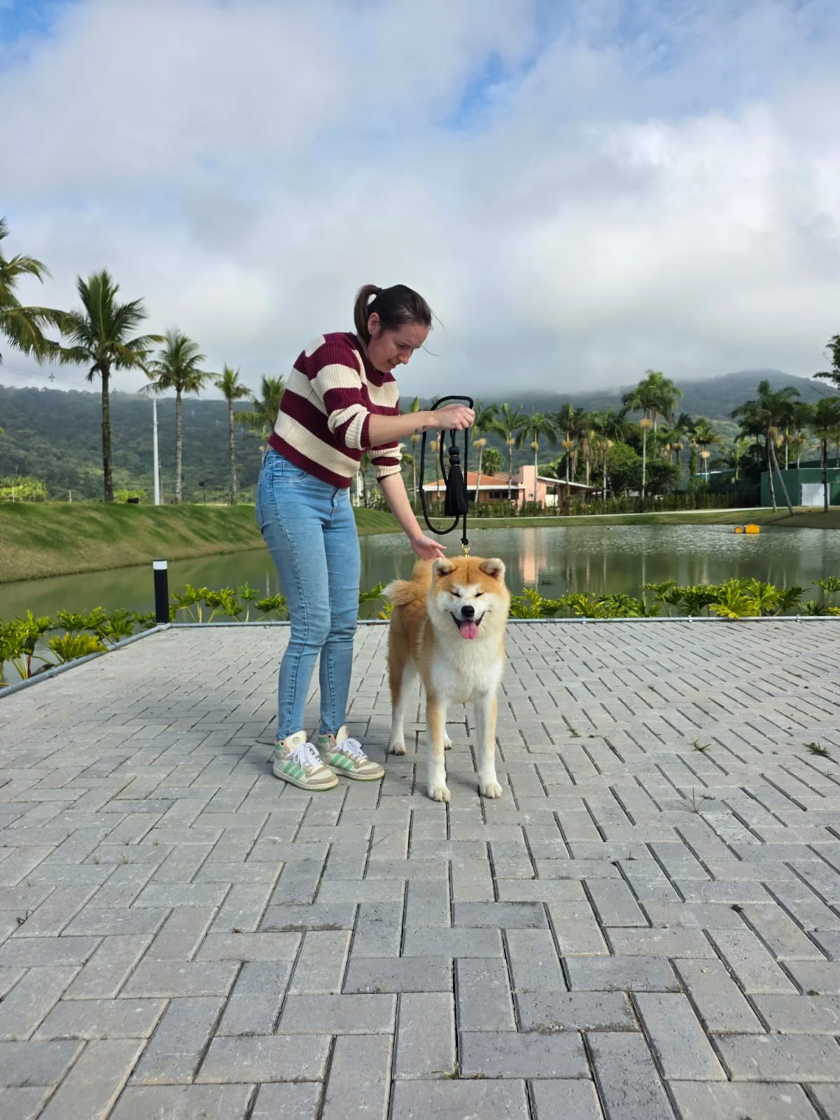 Conjuntos Hoshiko inspirados nos cordões Obijime