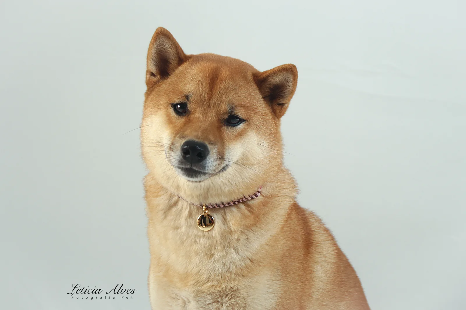 Hikari em um retrato
