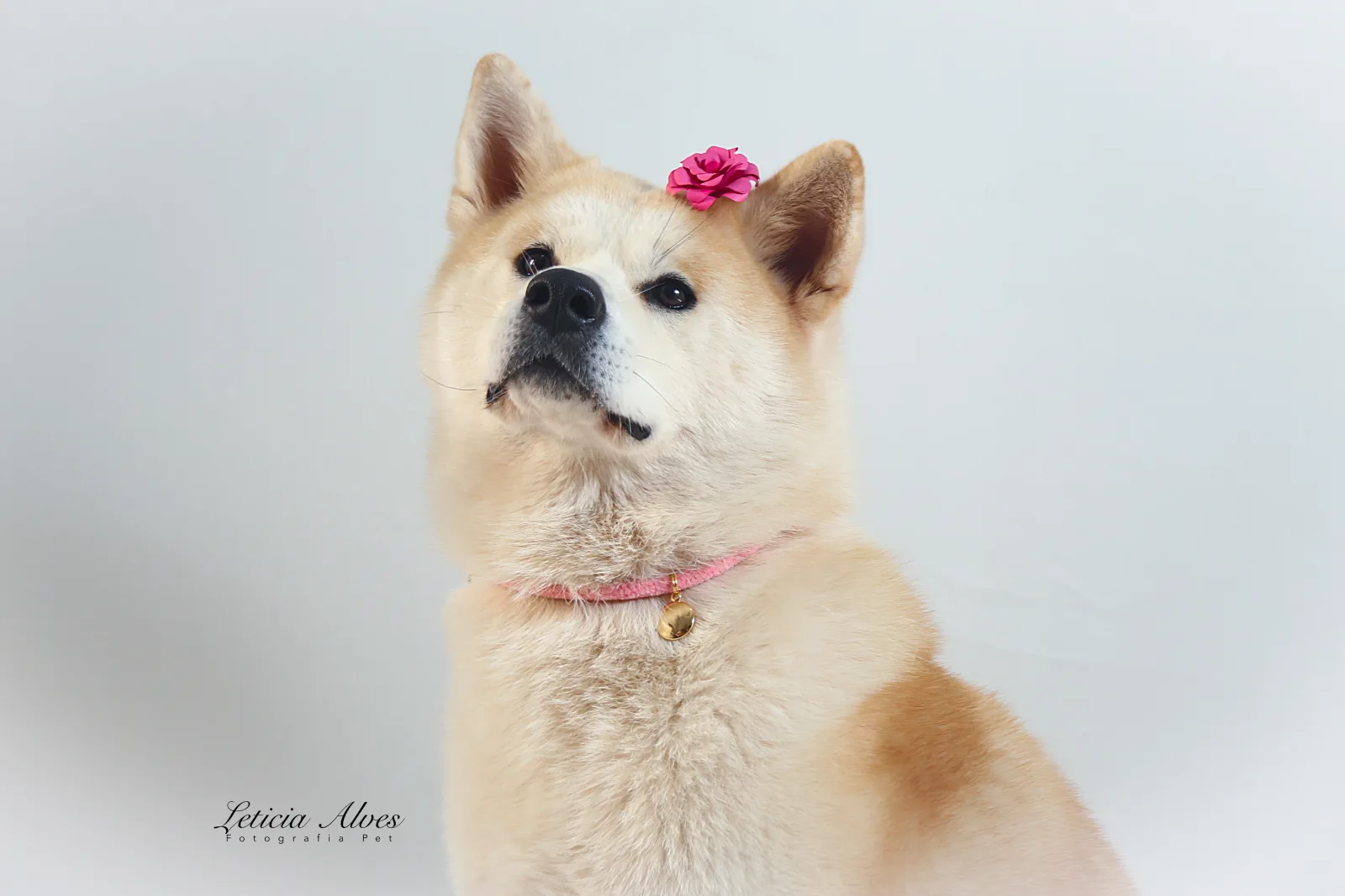 Saori em um retrato